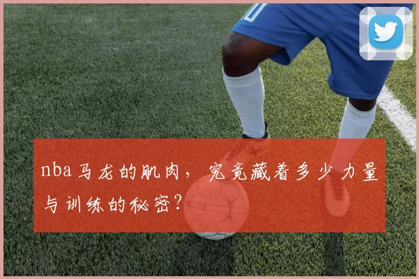 nba马龙的肌肉，究竟藏着多少力量与训练的秘密？