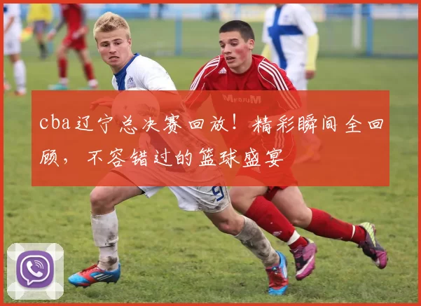 cba辽宁总决赛回放!精彩瞬间全回顾,不容错过的篮球盛宴
