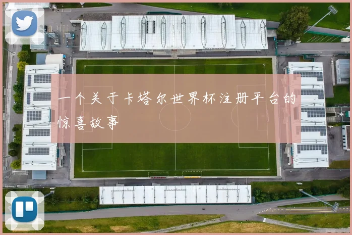 一个关于卡塔尔世界杯注册平台的惊喜故事