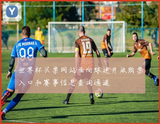 世界杯买票网站面向球迷开放购票入口和赛事信息查询通道
