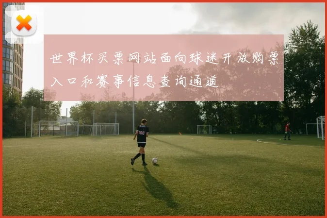 世界杯买票网站面向球迷开放购票入口和赛事信息查询通道