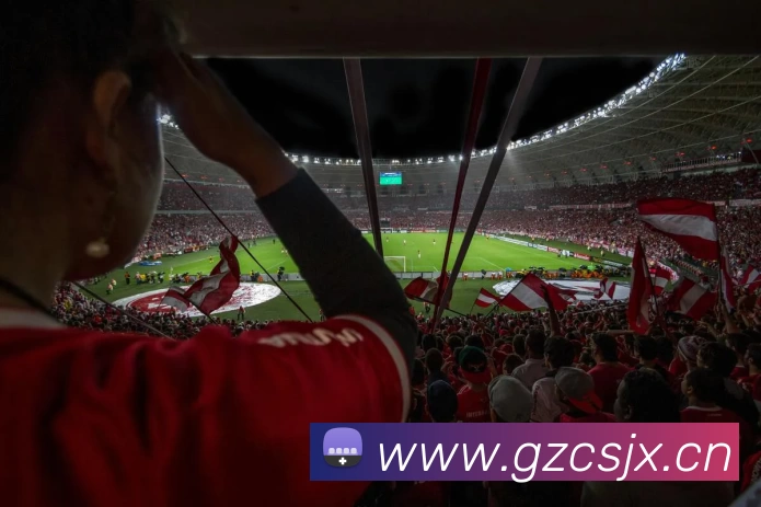 开云 - Kaiyun(体育中国)官方网站平台生态图