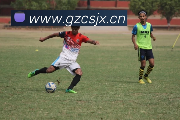 开云网页版·官方版在线 - 开云(中国)平台生态图